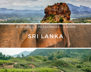 Rocher du Lion de Sigiriya, éléphants sauvages et plantations de thé au Sri Lanka