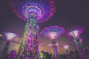 Vue nocturne des jardins futuristes Gardens by the Bay à Singapour, illuminés sous le ciel étoilé.